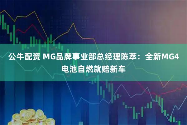公牛配资 MG品牌事业部总经理陈萃：全新MG4电池自燃就赔新车
