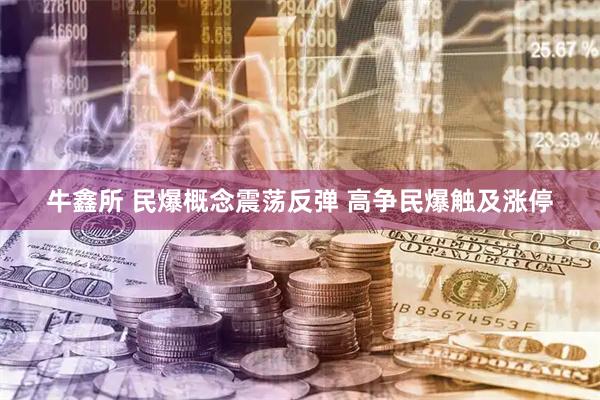 牛鑫所 民爆概念震荡反弹 高争民爆触及涨停