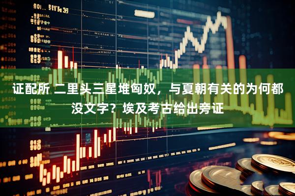 证配所 二里头三星堆匈奴，与夏朝有关的为何都没文字？埃及考古给出旁证