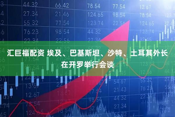 汇巨福配资 埃及、巴基斯坦、沙特、土耳其外长在开罗举行会谈