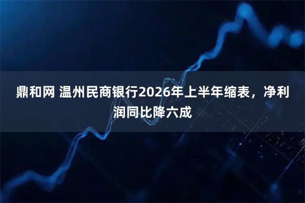 鼎和网 温州民商银行2026年上半年缩表，净利润同比降六成